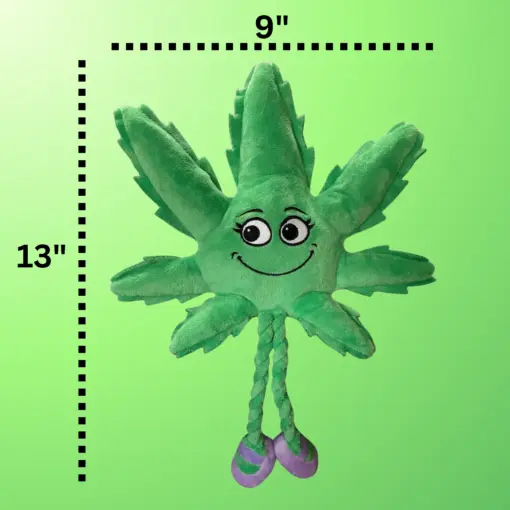 My Name is Mary Jane, Cute Stuffed Parody Marijuana Leaf Dog Toy, Funny Squeaky Weed Toy, Cool Plush Novelty 420 Gift for Puppies & Small, Medium & Large Breeds, For Fetch & a Photo Prop, Shelf-Sitter - Image 7